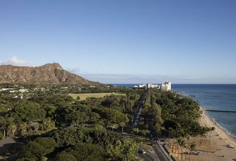 Отель The Twin Fin