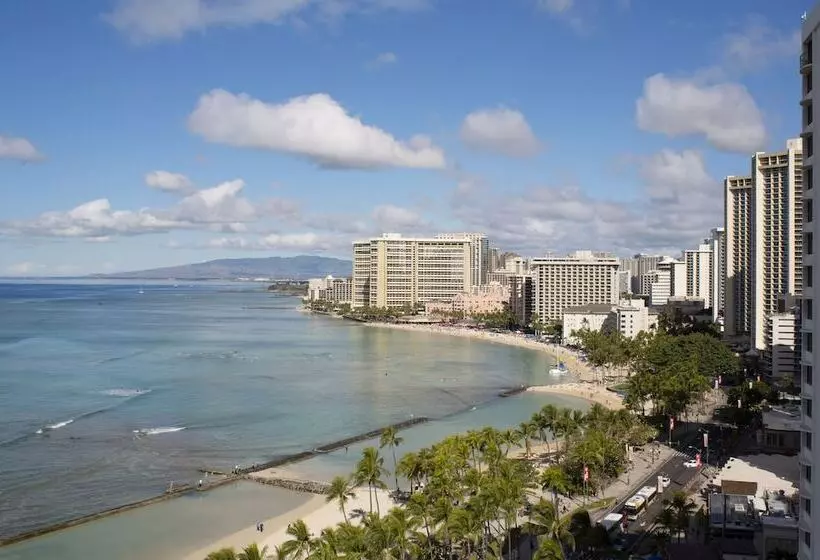 Отель The Twin Fin