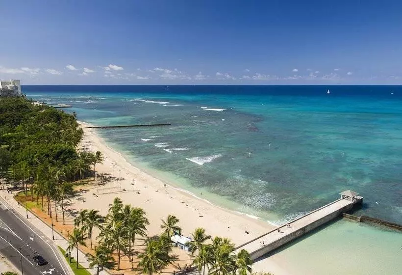 Отель The Twin Fin