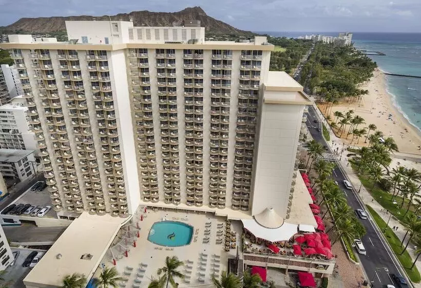 Отель The Twin Fin