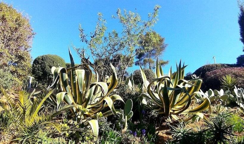 Dream House & Spa Bandol  Céline Et Olivier