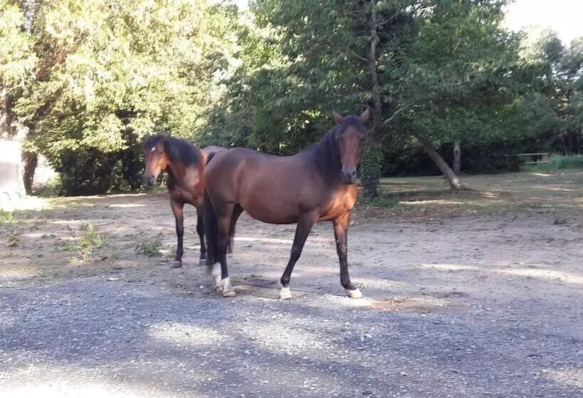 ペンション Le Petit Plessis