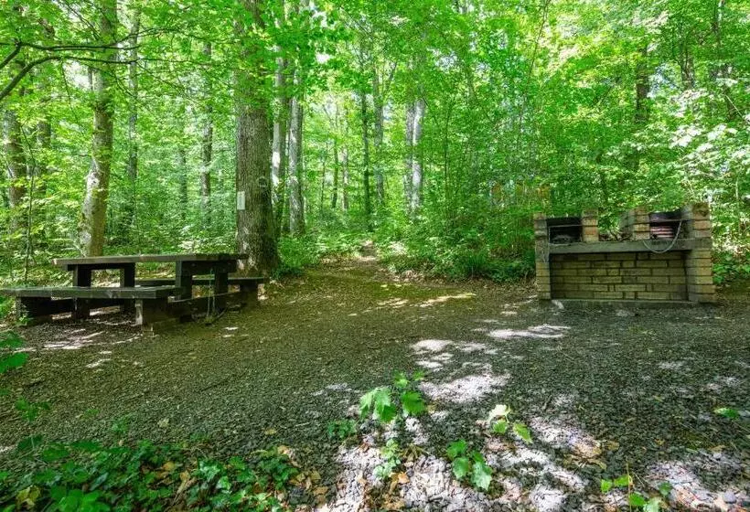 Wellholidays 19   Studio Balnéo Et Terrasse Piscine