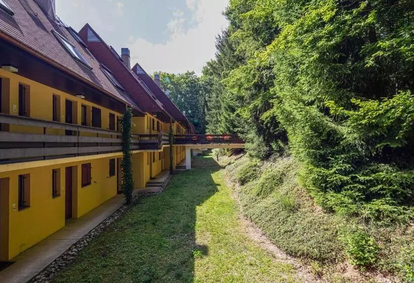 Wellholidays 19   Studio Balnéo Et Terrasse Piscine