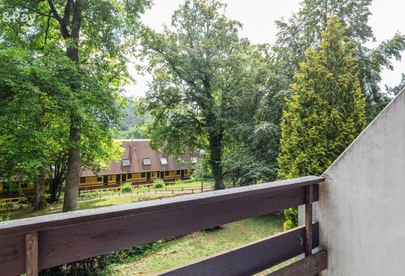 Wellholidays 19 Studio Balnéo Et Terrasse Piscine