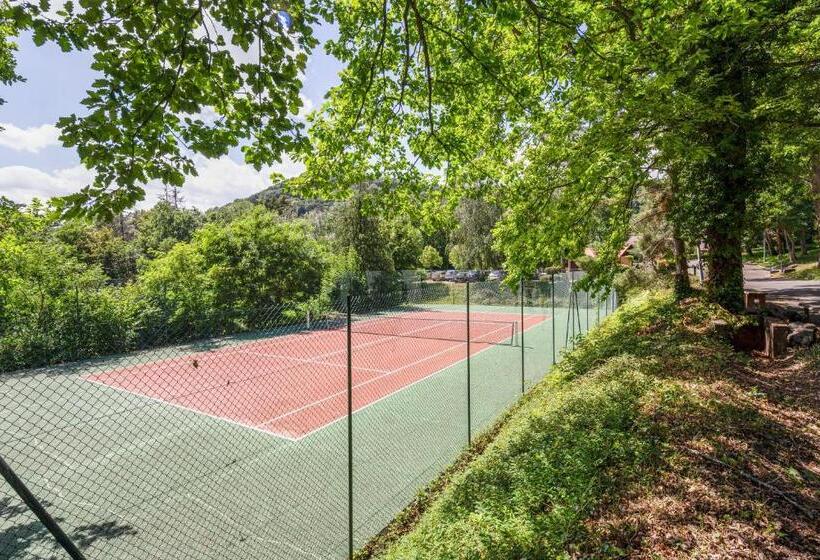 Wellholidays 19 Studio Balnéo Et Terrasse Piscine