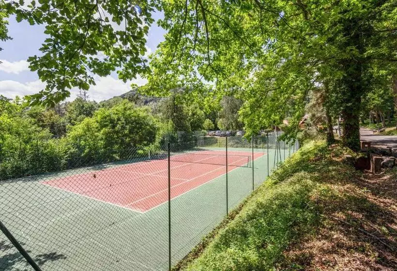 Wellholidays 19   Studio Balnéo Et Terrasse Piscine