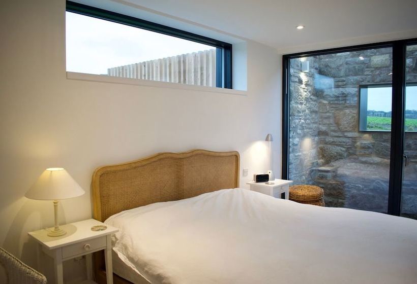 Elegant Eco Glass House