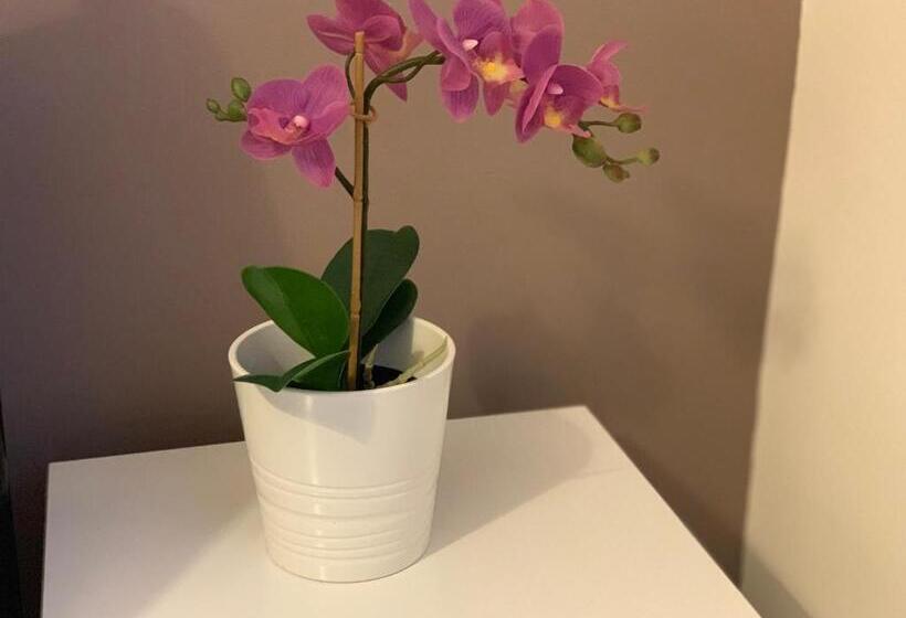 Gordon House Kettering