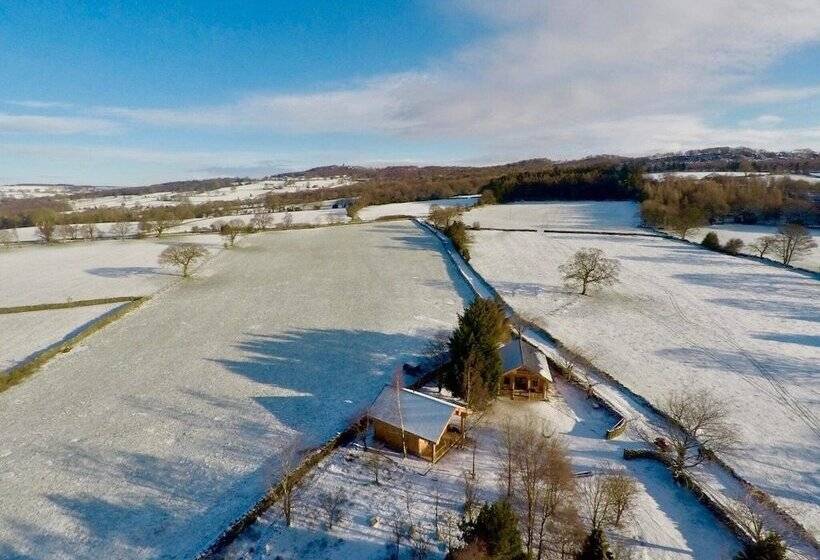 Braisty Woods   Hopes & Beams