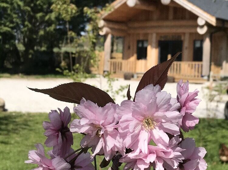 Braisty Woods   Hopes & Beams