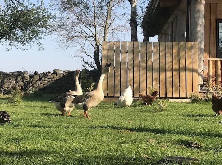 Braisty Woods   Hopes & Beams