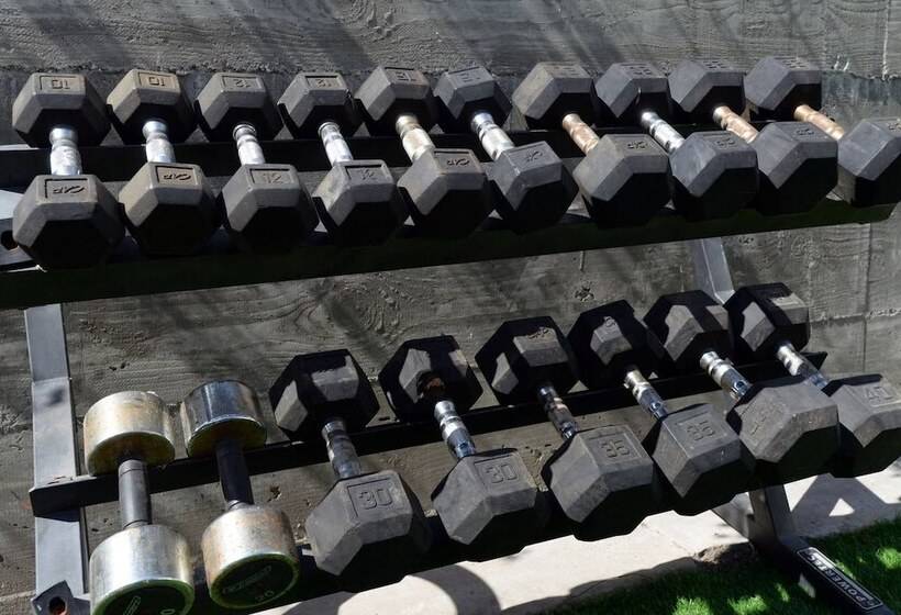 Spacious House On Melrose W Private Backyard Gym