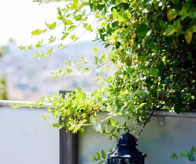 La Terrasse Du Belvédère Appartement 3 Chambres Nancy  Avec Stationnement