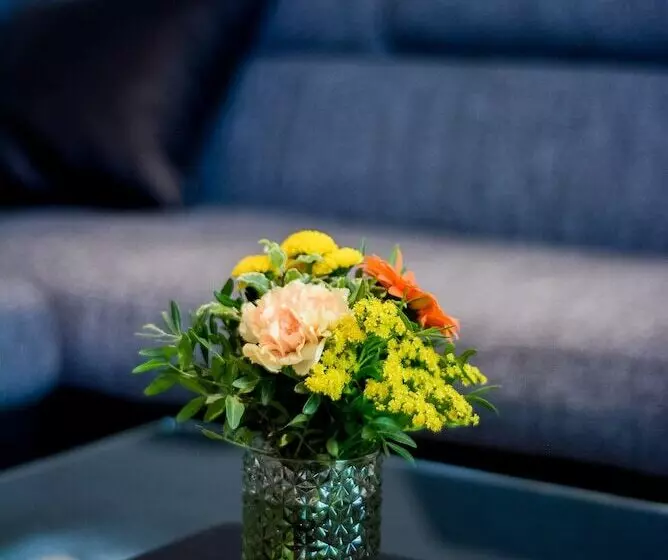 La Terrasse Du Belvédère Appartement 3 Chambres Nancy  Avec Stationnement