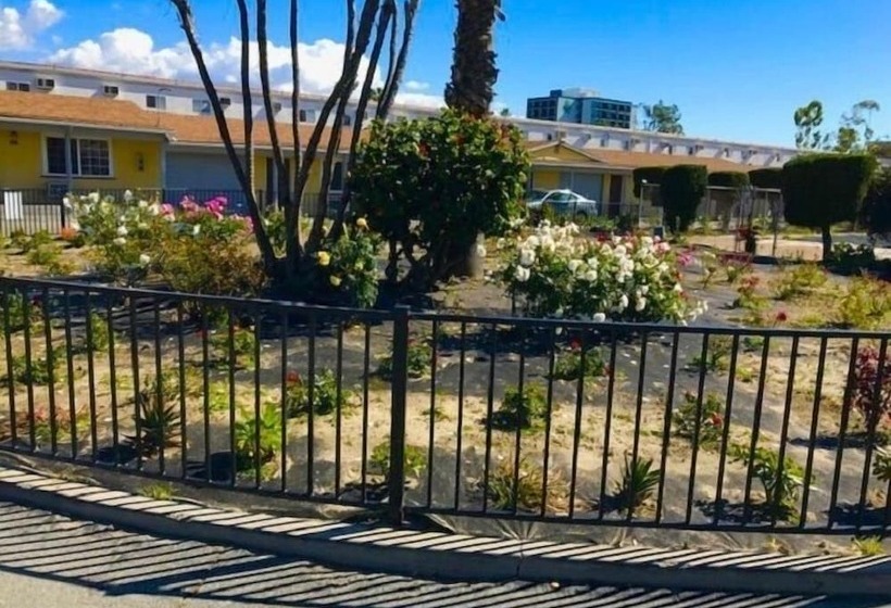 Sunshine Village Motel