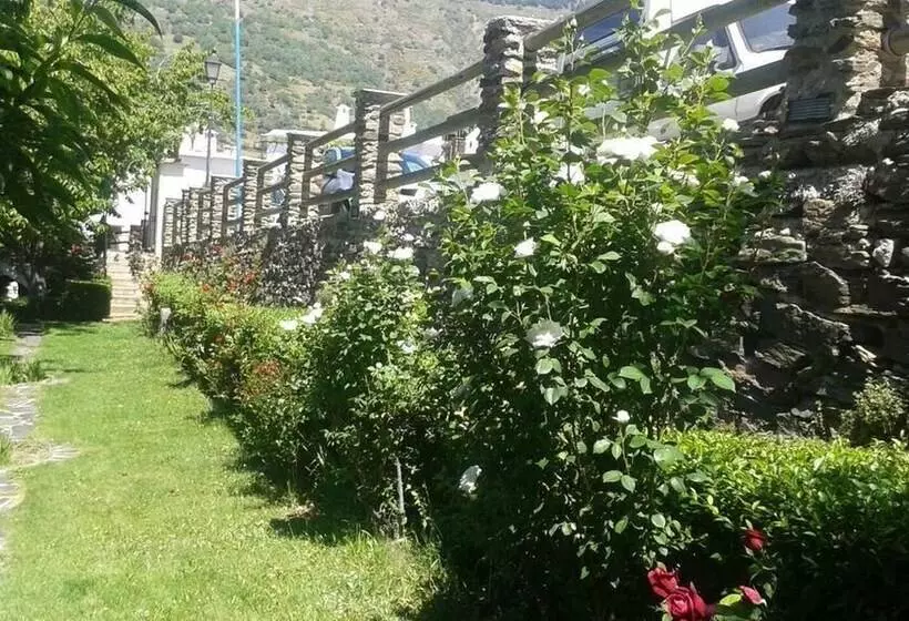 Apartamentos Cerro Negro