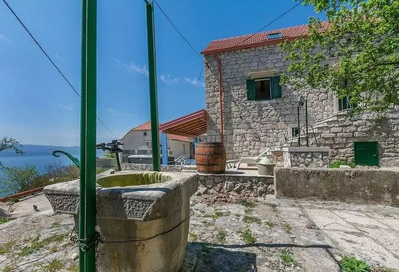 House Darijo