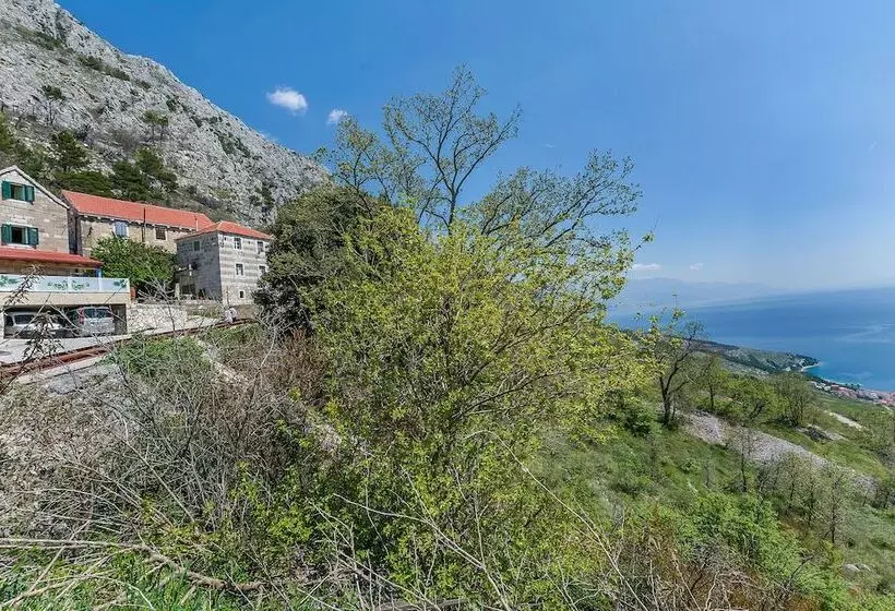 House Darijo
