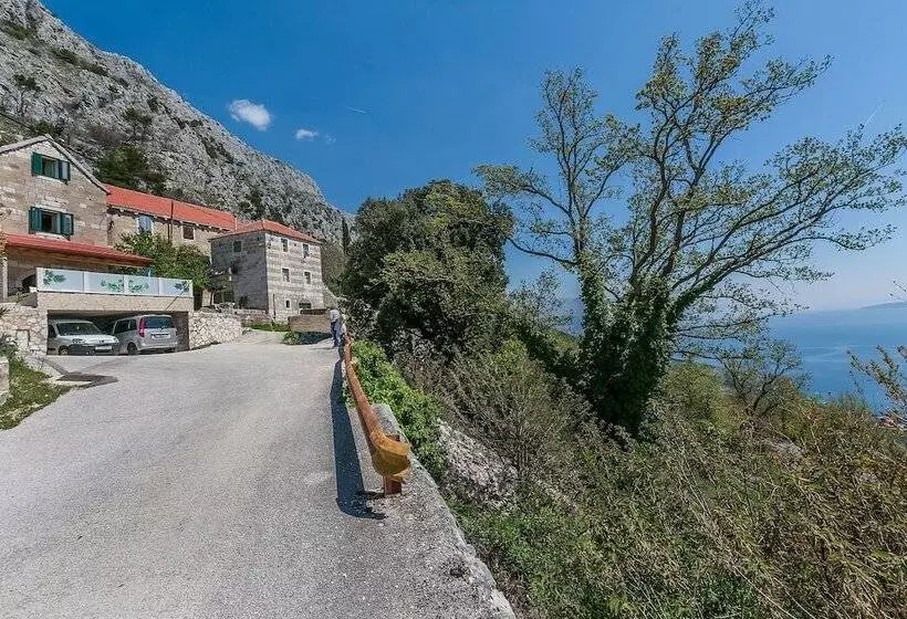 House Darijo