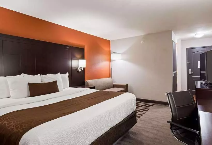 Best Western Plus Lee S Summit Hotel & Suites