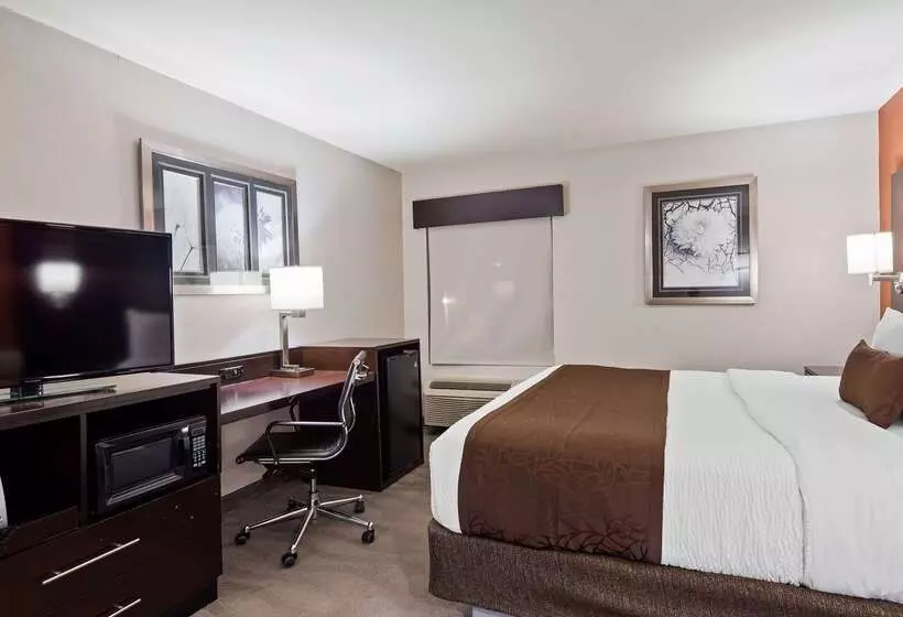 Best Western Plus Lee S Summit Hotel & Suites