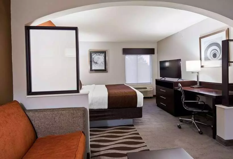 Best Western Plus Lee S Summit Hotel & Suites