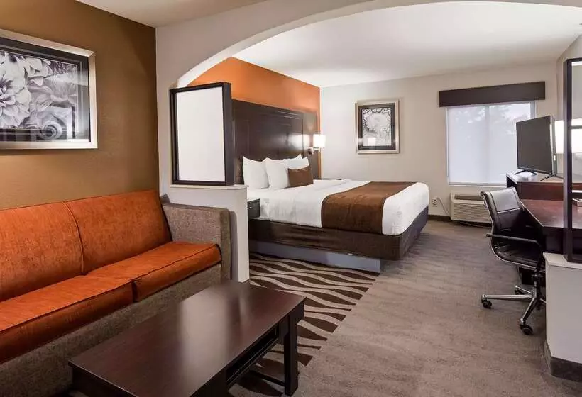 Best Western Plus Lee S Summit Hotel & Suites