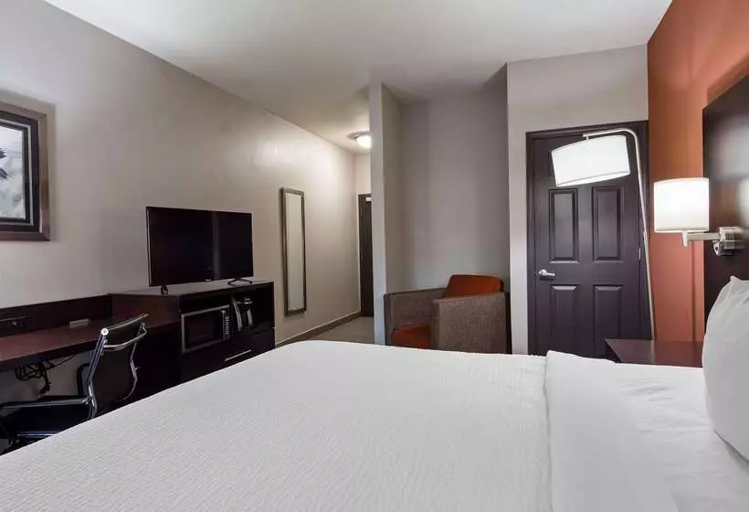 Best Western Plus Lee S Summit Hotel & Suites