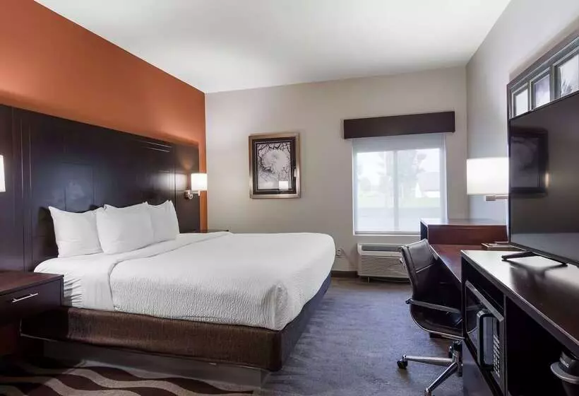 Best Western Plus Lee S Summit Hotel & Suites