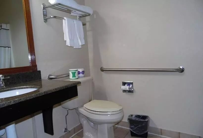 ホテル Best Western Teal Lake Inn