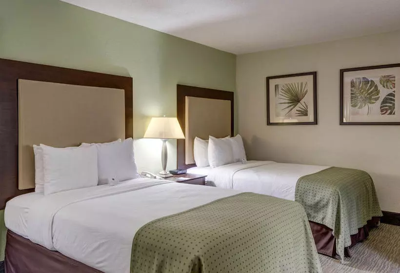 ホテル Clarion Inn And Suites Conference Center Covington