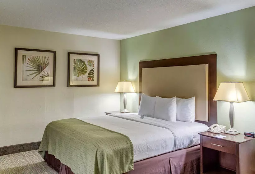 ホテル Clarion Inn And Suites Conference Center Covington