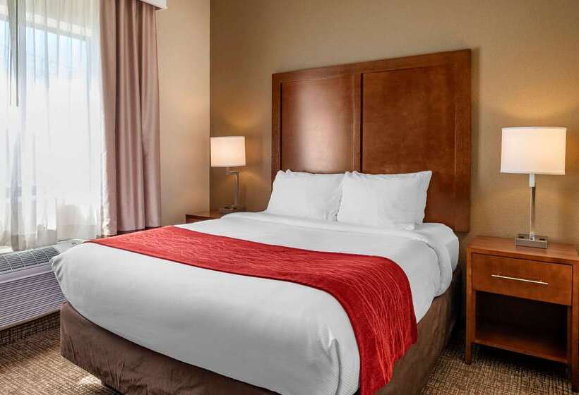 酒店 Comfort Inn La Porte