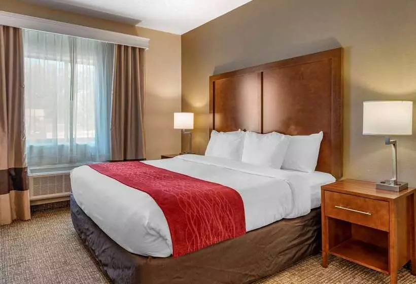 בית מלון כפרי Comfort Inn La Porte