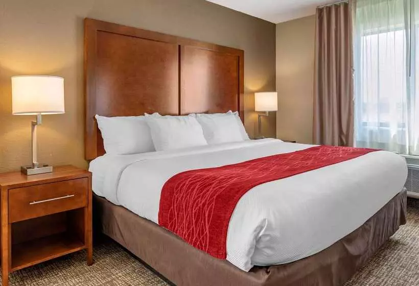 בית מלון כפרי Comfort Inn La Porte