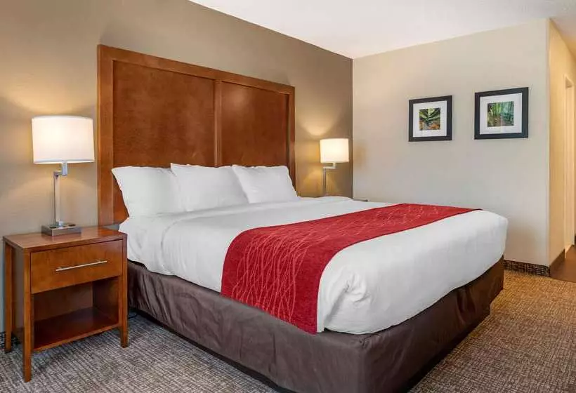 בית מלון כפרי Comfort Inn La Porte