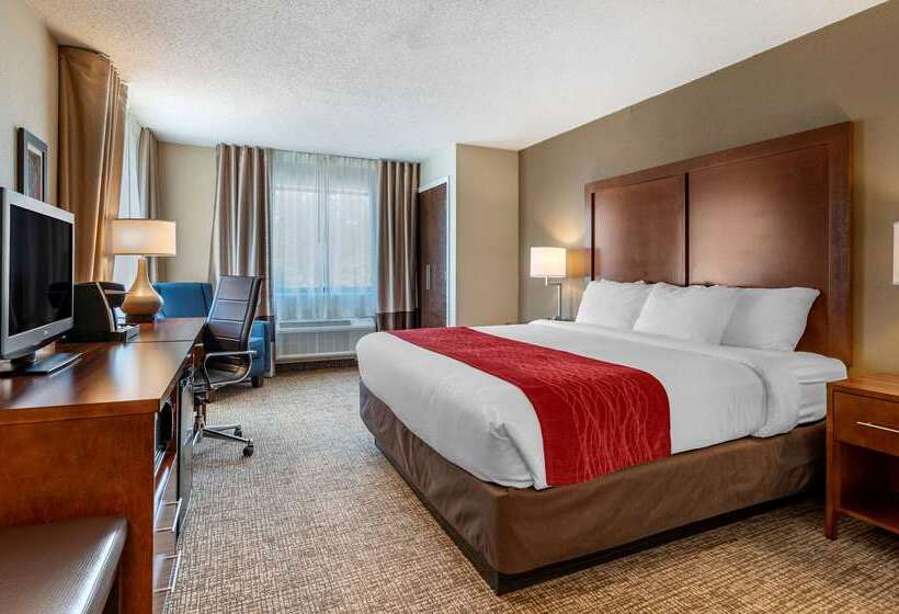 酒店 Comfort Inn La Porte