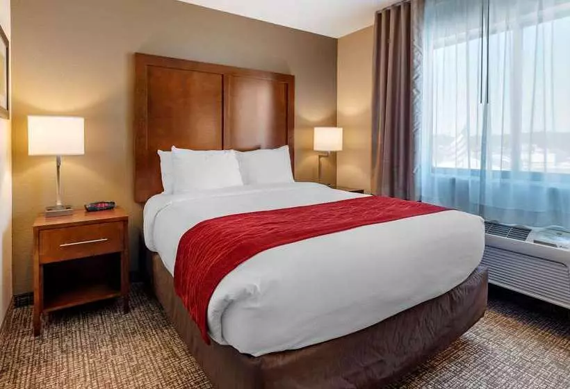 בית מלון כפרי Comfort Inn La Porte