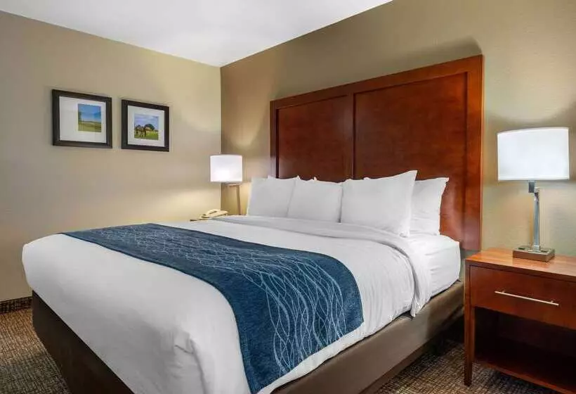 호텔 Comfort Inn Ocala Silver Springs