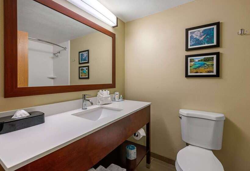 Отель Comfort Inn Ocala Silver Springs