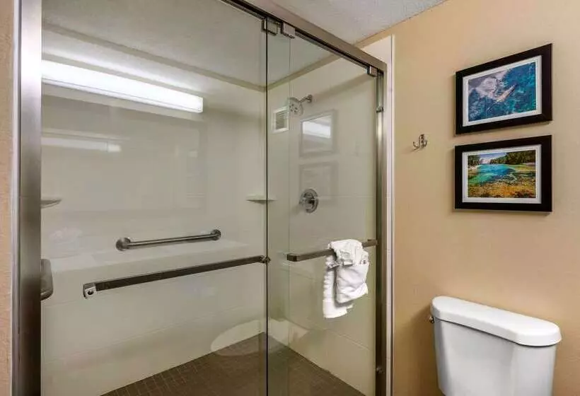 호텔 Comfort Inn Ocala Silver Springs