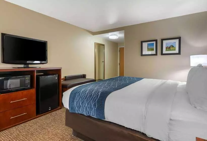 ホテル Comfort Inn Ocala Silver Springs