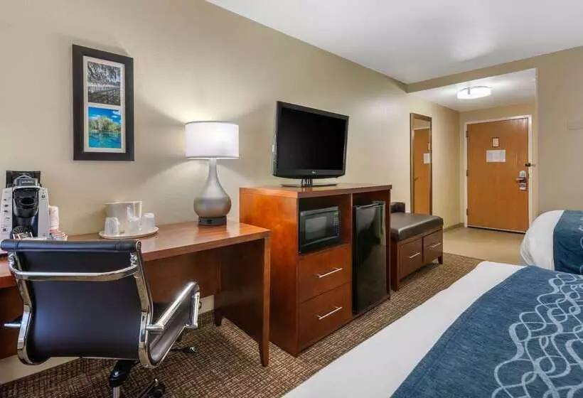 ホテル Comfort Inn Ocala Silver Springs