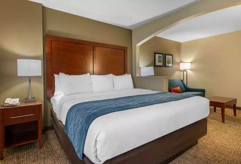 ホテル Comfort Inn Ocala Silver Springs