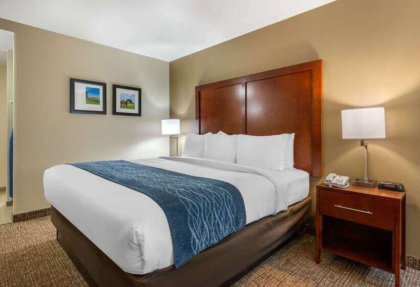 Отель Comfort Inn Ocala Silver Springs