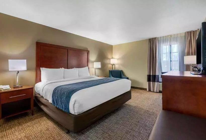 ホテル Comfort Inn Ocala Silver Springs