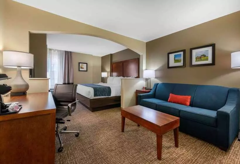 ホテル Comfort Inn Ocala Silver Springs