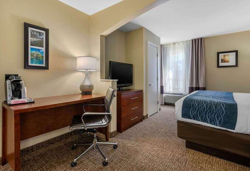 Отель Comfort Inn Ocala Silver Springs