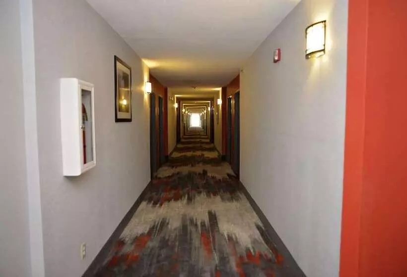 בית מלון כפרי Comfort Inn & Suites Carrollton